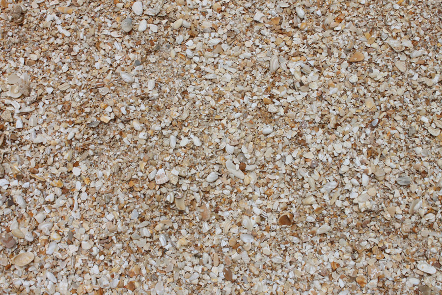 Crushed coquina shell stone